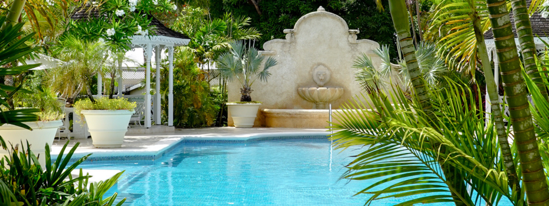 Coral Reef Club - Activities